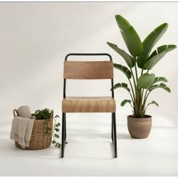 Silla apilable en madera contrachapada de abedul 7